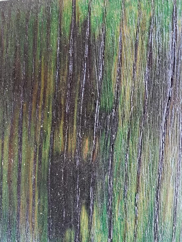 01 CHARCOAL/GRN