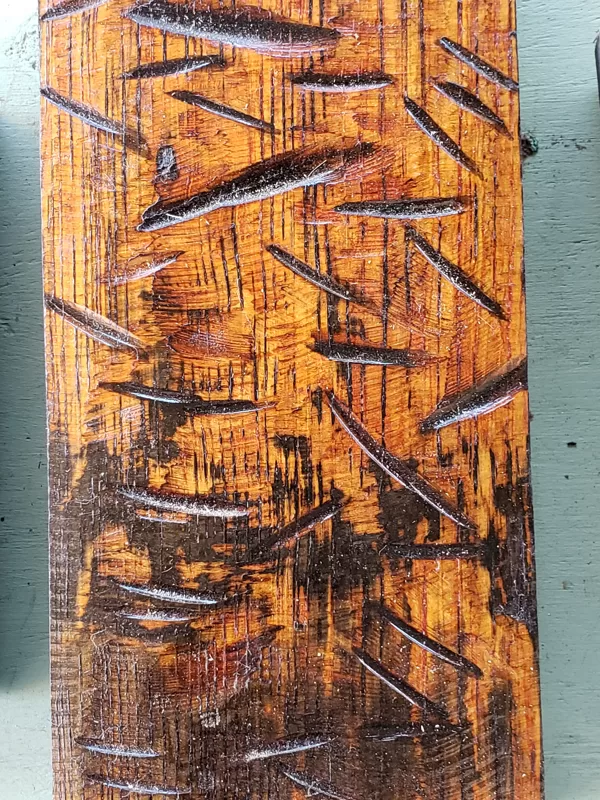 18 ORANGE TNT GDR CUTS