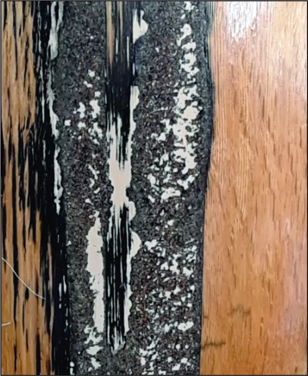 Natural End
