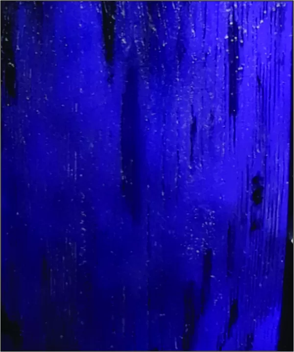 Violet / Black