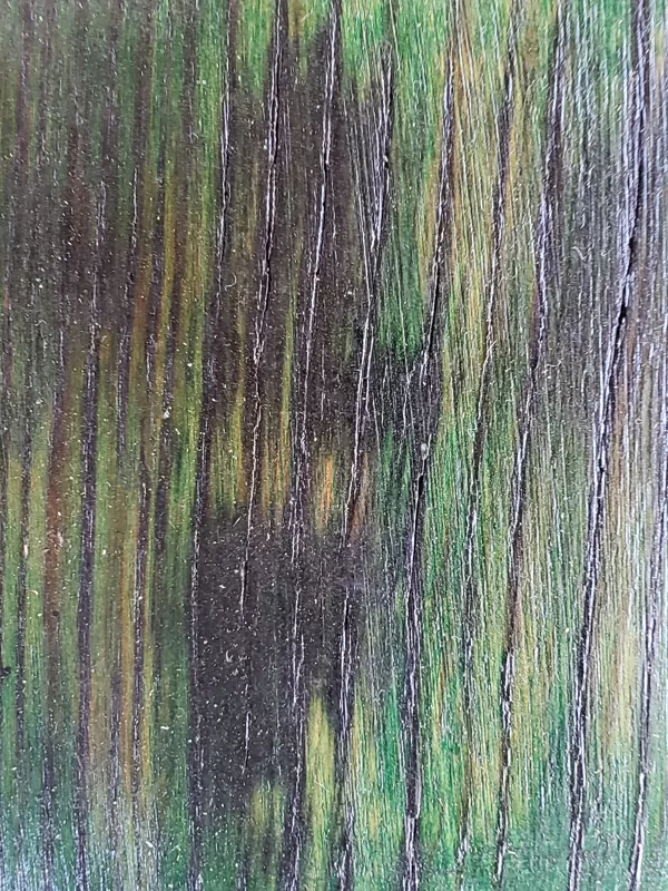 Verde / Negro